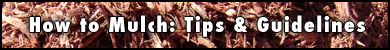 How to Mulch: Tips & Guidelines